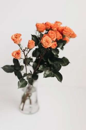 via Unsplash Images