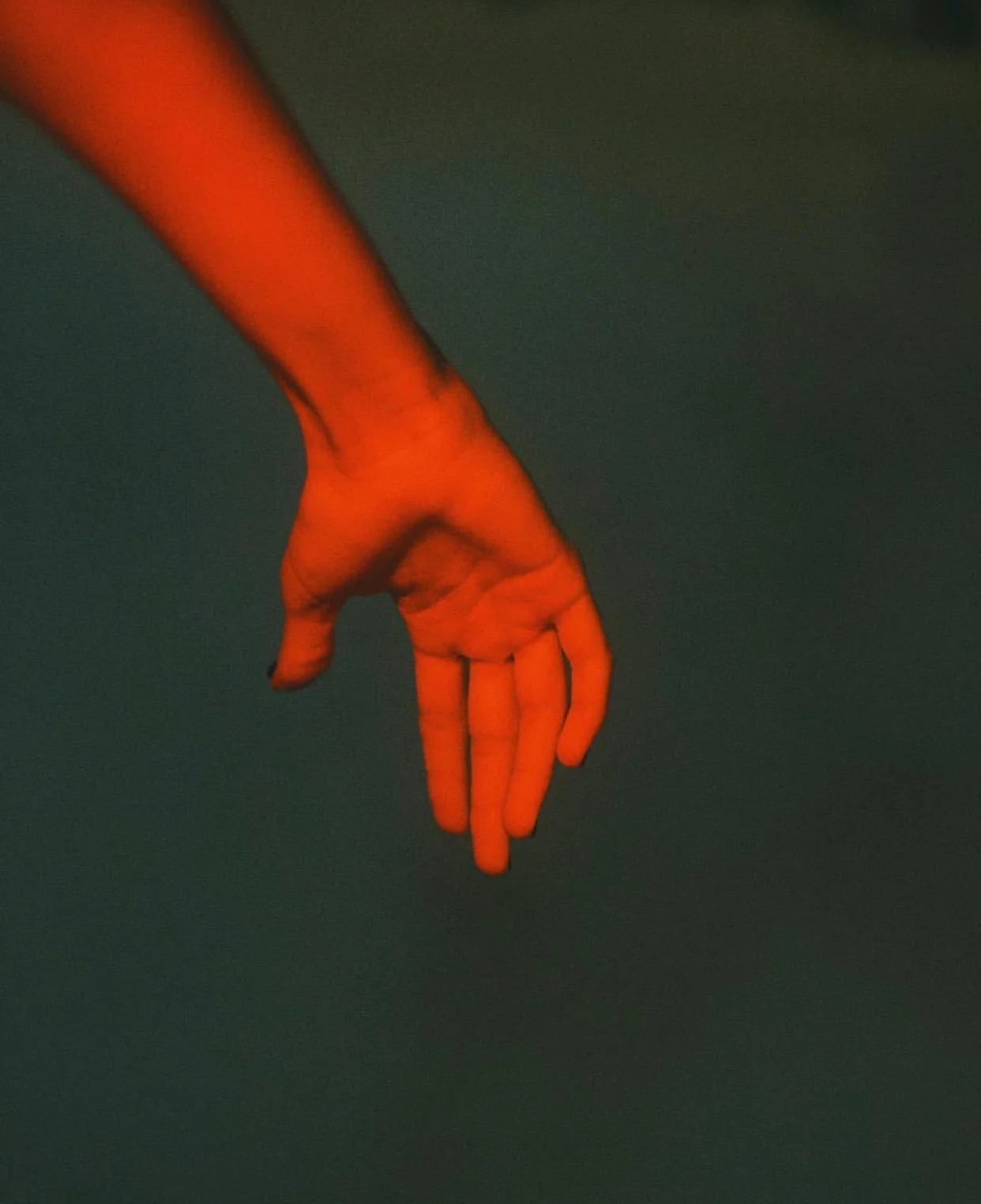 © DELFINA CARMONA