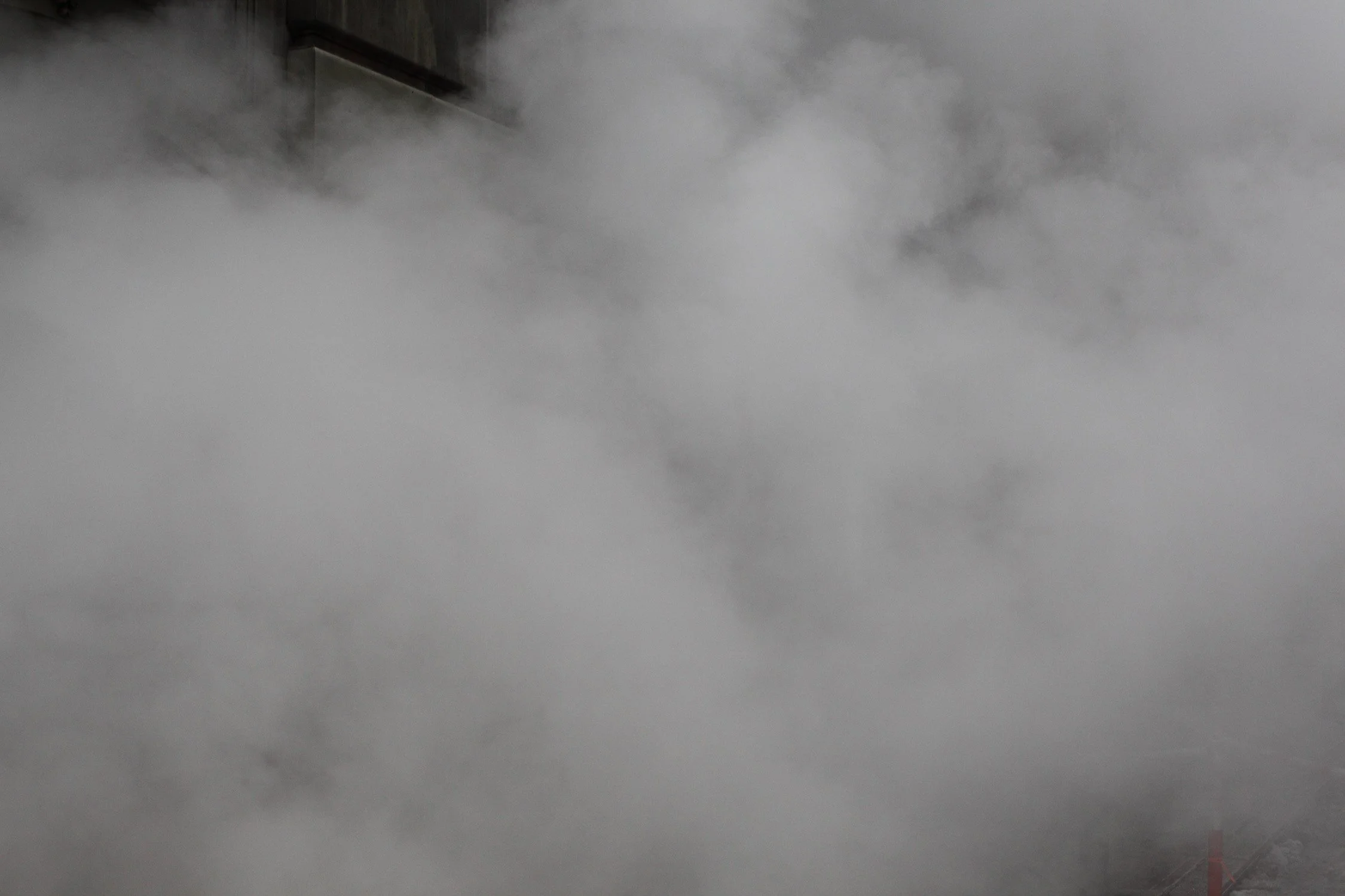 IMG_8800_1500 copy.jpg