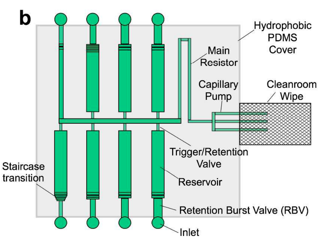 57.  A.O.&nbsp;Olanrewaju, A. Robillard, M. Dagher, and D. Juncker,  Autonomous Microfluidic Capillaric Circuits Replicated from 3D Printed Molds , Lab on a Chip, 16, 3804-3814 (2016). &nbsp;  PDF   
