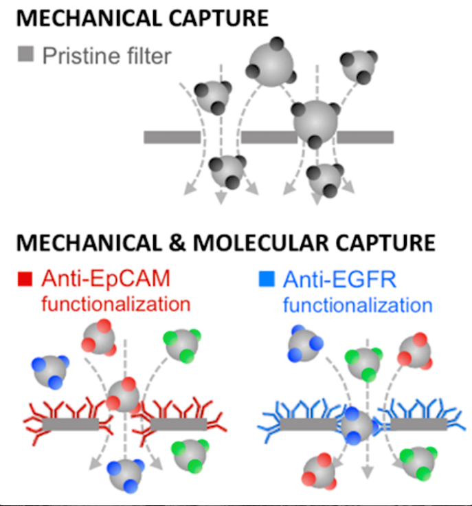  56.  A.&nbsp;Meunier, J.A. Hernández-Castro, K. Turner, K. Li, T. Veres, and D. Juncker,  Combination of Mechanical and Molecular Filtration for Enhanced Enrichment of Circulating Tumor Cells , Analytical Chemistry,&nbsp;88, 8510–8517 (2016).    PDF