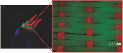  54.&nbsp; Tamayol A., Najafabadi A.H., Aliakbarian B., Arab-Tehrany E.,&nbsp; Akbari M., Annabi N., Juncker D., and Khademhosseini A.,&nbsp;  Hydrogel Templates for Rapid Manufacturing of Bioactive Fibers and 3D Constructs  , Advanced Healthcare Mat