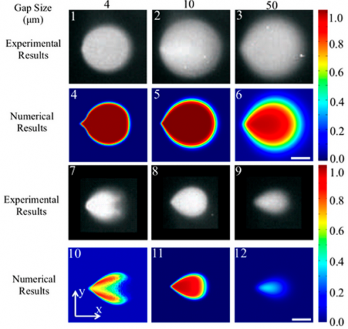  52.  Safavieh M., Qasaimeh M.A., Vakil A., Juncker D., and &nbsp;Gervais T.,  &nbsp;Two-Aperture Microfluidic Probes as Flow Dipole: Theory and Applications,  &nbsp;Scientific Reports,&nbsp;5, 11943 (2015).&nbsp;   PDF  |  SI   