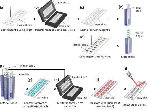  51.  Li H., Munzar J.D., Ng A., and Juncker D.,&nbsp;  A Versatile Snap Chip for High-Density Sub-Nanoliter Chip-to-Chip Reagent Transfer  ,&nbsp;Scientific Reports,&nbsp;5, 11688 (2015) .   PDF  |  SI   
