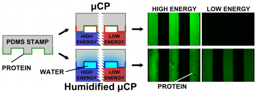  45.  Ricoult S.G., Sanati Nezhad A., Knapp-Mohammady M., Kennedy T.E., and Juncker D.,&nbsp;  Humidified Microcontact Printing of Proteins: Universal Patterning of Proteins on Both Low and High Energy Surfaces,  &nbsp;Langmuir,&nbsp;30, 12002–12010 