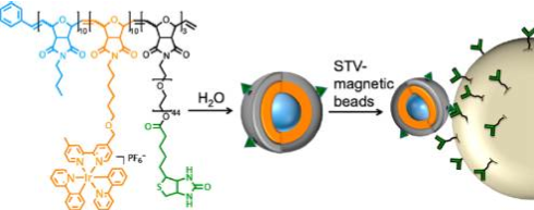  32.  Metera K., Hanni K., Zhou G., Nayak M., Bazzi H., Juncker D., and Sleiman H.,&nbsp;  Luminescent Iridium(III)-Containing Block Copolymers: Self-Assembly into Biotin-Labeled Micelles for Biodetection Assays  ,&nbsp;ACS Macro Letters,&nbsp;1, 954