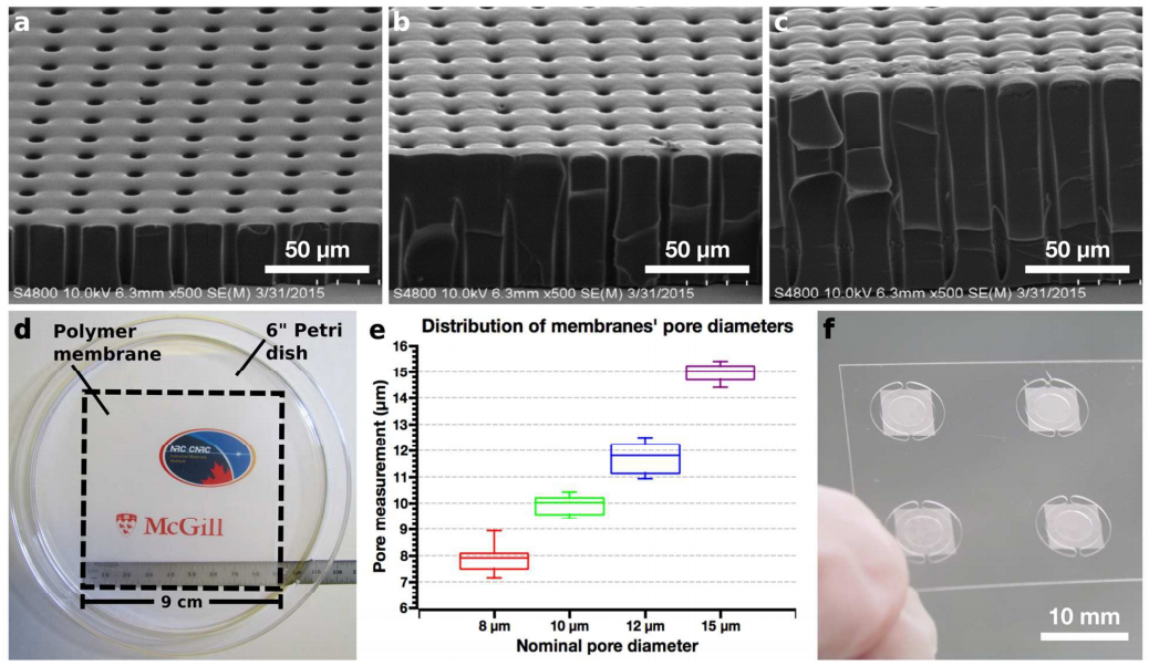  63.  J.A Hernández-Castro, K. Li, A. Meunier, D. Juncker, and T. Veres,&nbsp; Fabrication of large-area polymer microfilter membranes and their application for particle and cell enrichment ,   Lab on a Chip, 17, 1960-1969 (2017). &nbsp;  PDF    |   