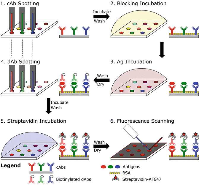  65.  V.&nbsp;Laforte, P.S. Lo, H. Li, and D. Juncker,&nbsp; Antibody Colocalization Microarray for Cross-Reactivity-Free Multiplexed Protein Analysis ,&nbsp;Methods in Molecular Biology, 1619, 239-261 (2017). &nbsp;  PDF   