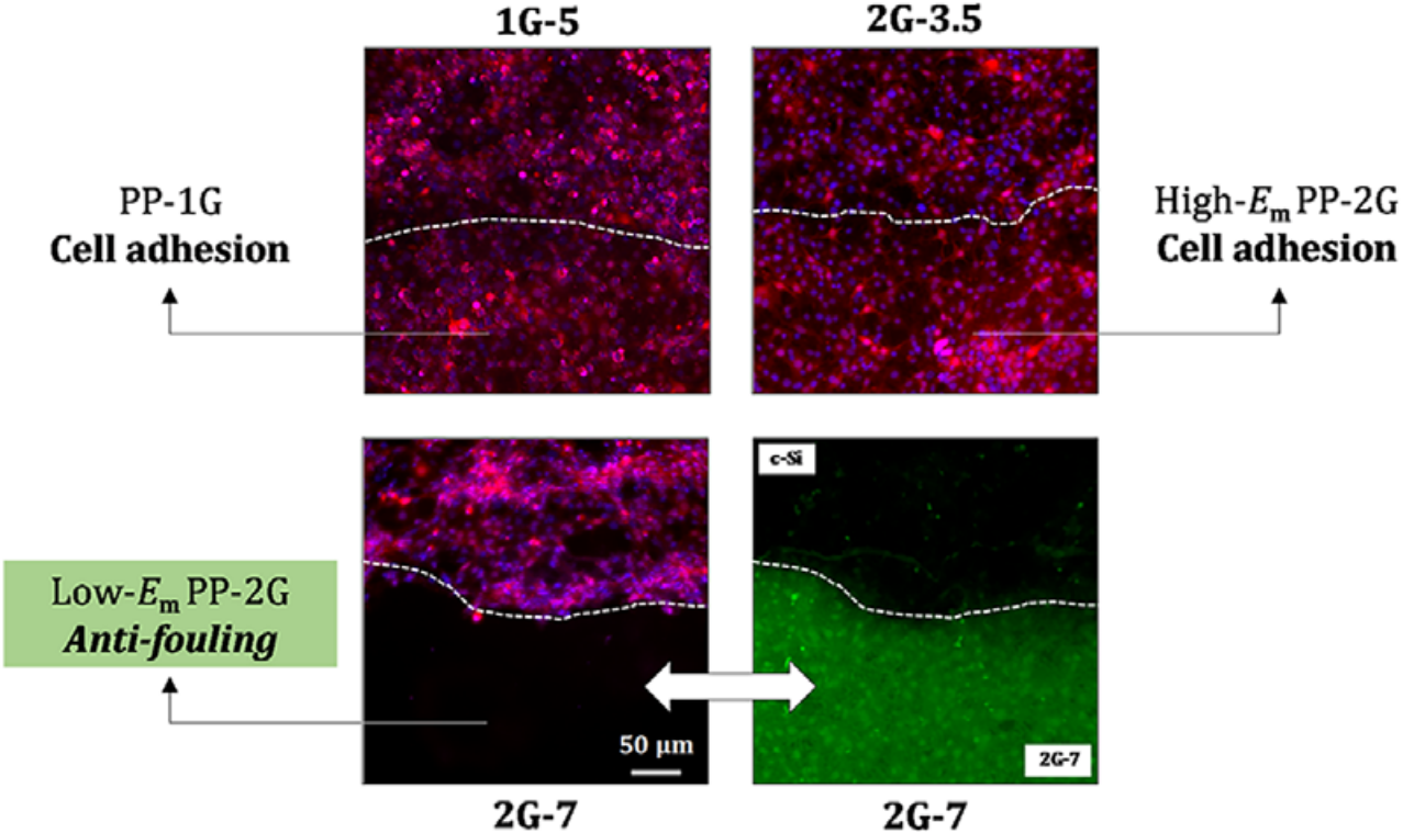  68.  B.&nbsp;Nisol, S. Watson, A. Meunier, D. Juncker, S. Lerouge, and M.R. Werthemier,  Energetics of reactions in a dielectric barrier discharge with argo carrier gas: VI PEG_like coatings , Plasma Process and Polymers, 15,&nbsp;1700132 (2017). &n