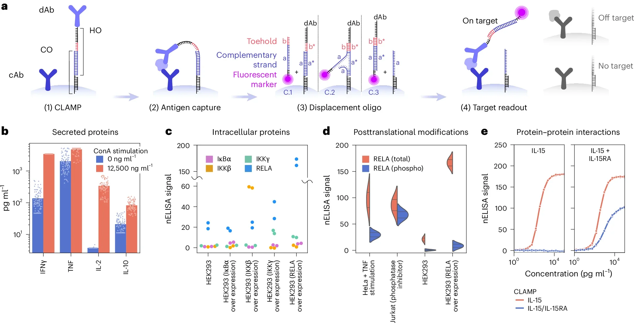  99.  M. Dagher, G. Ongo, N. Robichaud, J. Kong, W. Rho, I. Teahulos, A. Tavakoli, S. Bovaird, S. Merjaneh, A. Tan, K. Edwardson, C. Scheepers, A. Ng, A. Hajjar, B. Sow, M. Vrouvides, A. Lee, P. DeCorwin-Martin, S. Rasool, J. Huang, Y. Han, T. Erps, 