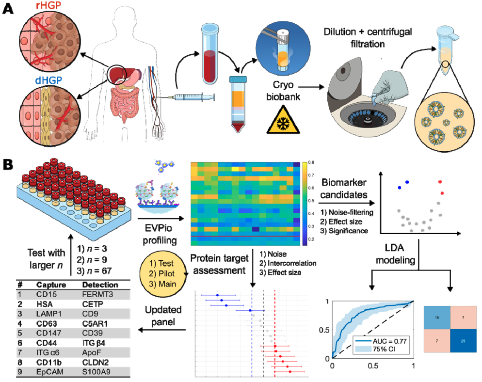  4.  R. Martel, M. L. Shen, M. Tsamchoe, S. K. Petrillo, A. Lazaris, P. Metrakos, D. Juncker, Iterative  Extracellular Vesicle Protein Co-Expression Biomarker Refinement for Preoperative Classification of Histopathological Growth Patterns in Colorect