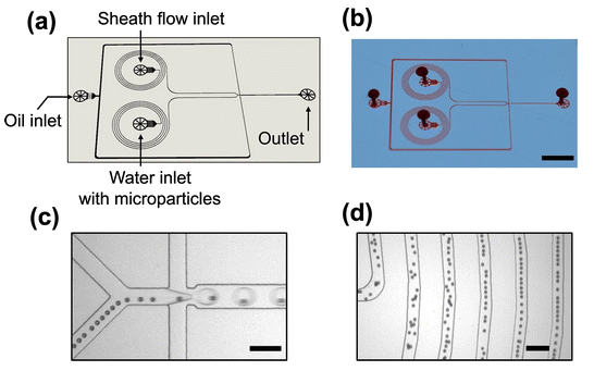  101.  B. Moon, L. Malic, D. D. Fonte, L. Clime, F. Lussier, L. Lukic, D. Juncker, T. Veres,  Deterministic droplet-based co-encapsulation of single cells through inertial and hydrodynamic focusing,  Analyst, 151, 1627–1638 (2026).    PDF   |   SI   