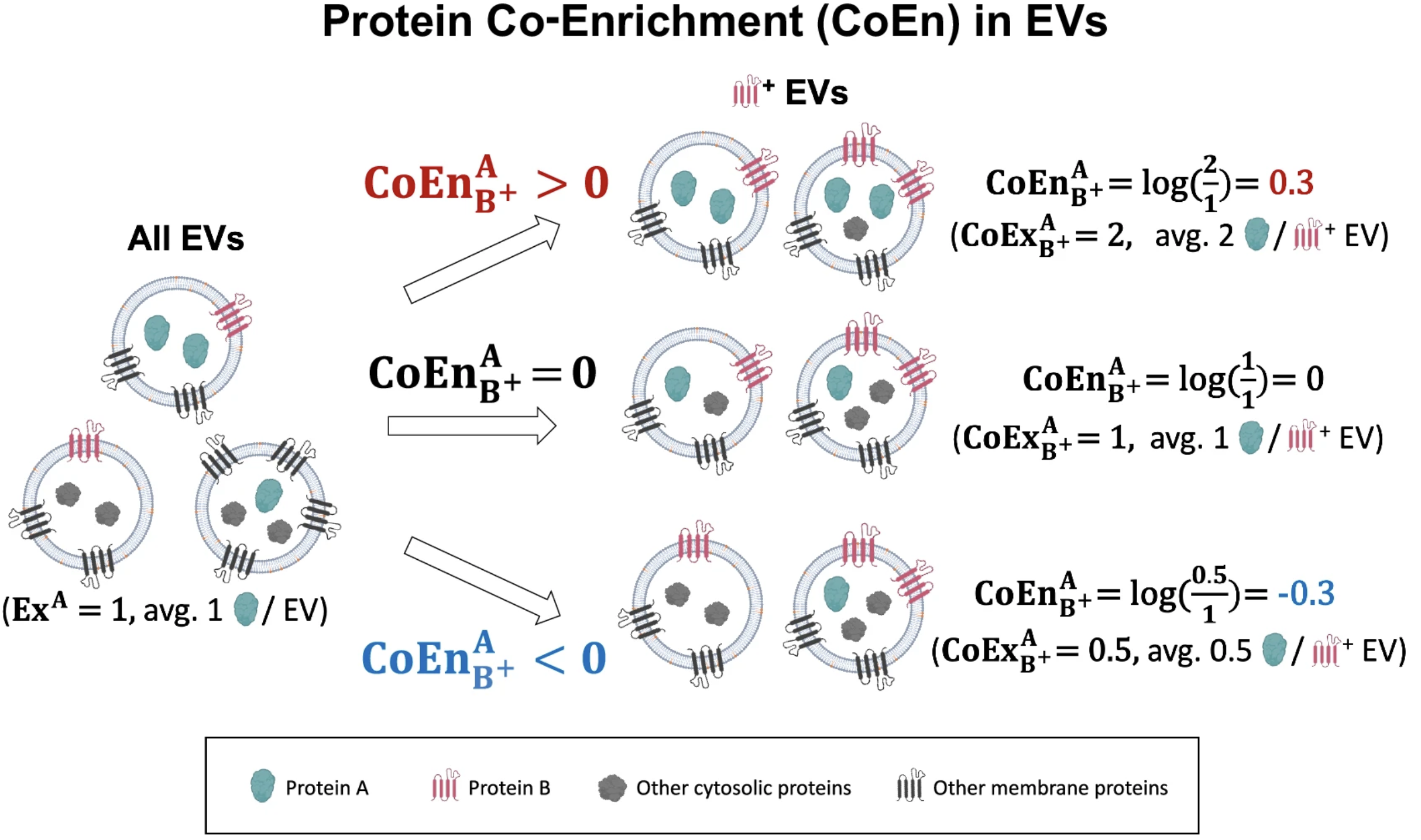  102.  M. L. Shen, A. Wallucks, R. Martel, Z. Jin, L. Alexandre, P. DeCorwin-Martin, L. O. F. de Araujo, A. Ng, P. M. Siegel, D. Juncker,  Co-enrichment of proteins in extracellular vesicles , Nature Communications, 17, 7181 (2026) .    PDF     |    