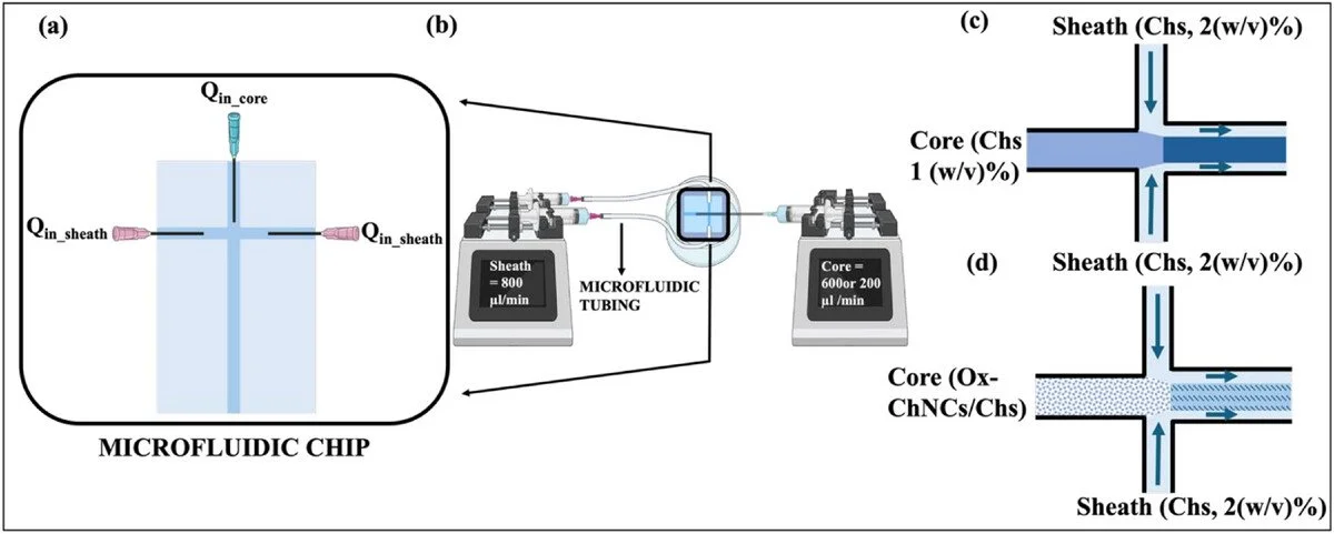 100.    I. Kaur  ,&nbsp;  A. Forigua  ,&nbsp;  H. M. Titi  ,&nbsp;  Y. Morocz  ,&nbsp;  D. Juncker  ,&nbsp;  C. Moraes  ,&nbsp;  A. Moores  ,  Pure Chitosan Microfluidic Spinning Affords Modular Core-Sheath Fibers and Hand-Crafted Scaffolds with Enh