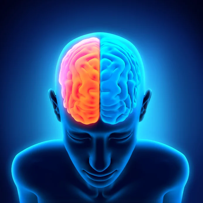iStock_000044486734_Small.jpg