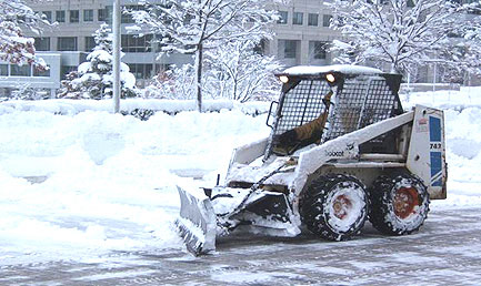 blog_4_snow_bobcat2.jpg