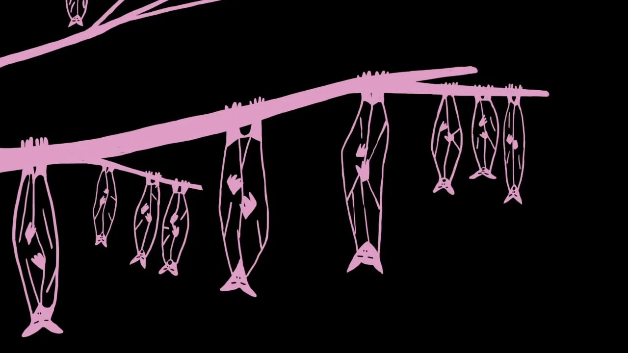 Part 8/8: Poetry of Perception