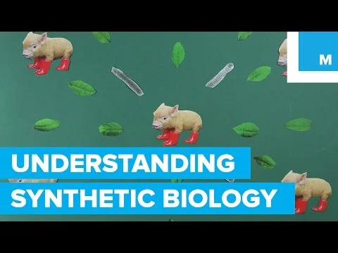 Synthetic Biology Broken Down into a Fun-Sized Animation | Mashable Fun-Sized Science