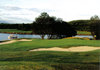 Golfing