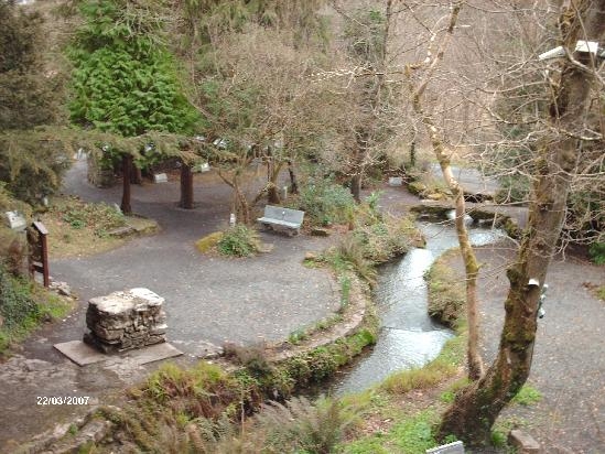 Tobernault Well, Sligo