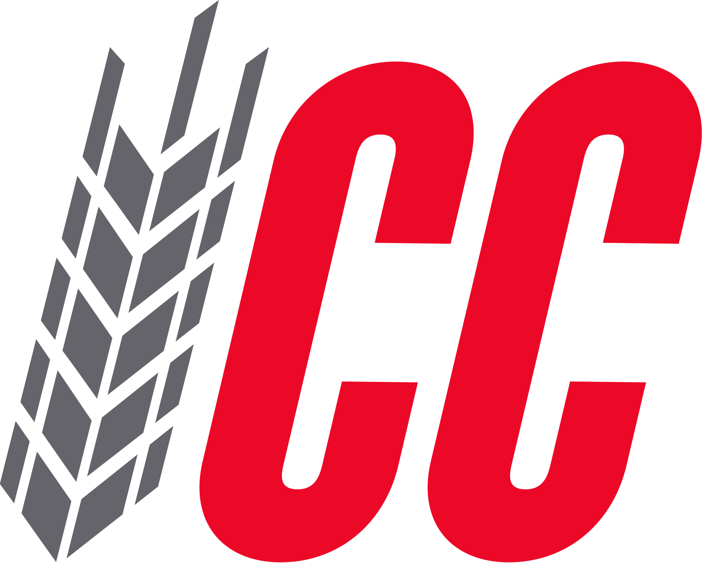 CC_Secondary_Logo_2Color.png