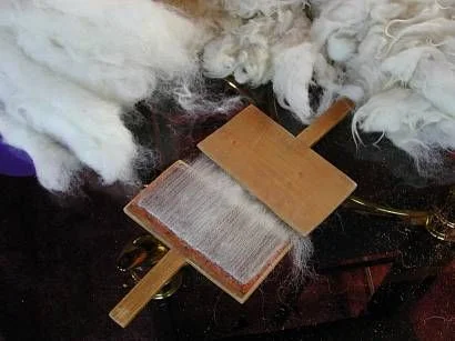 Carding wool