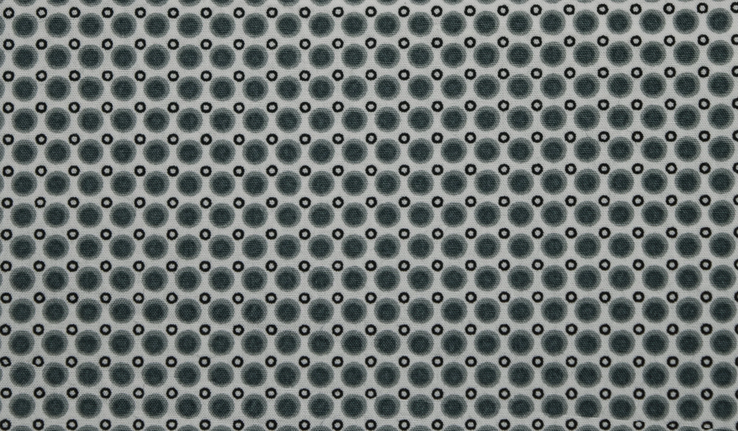 5519F05.JPG