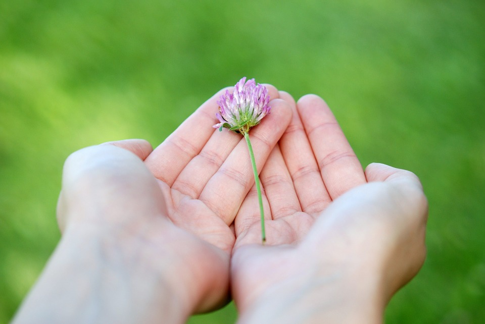 Paying it Forward