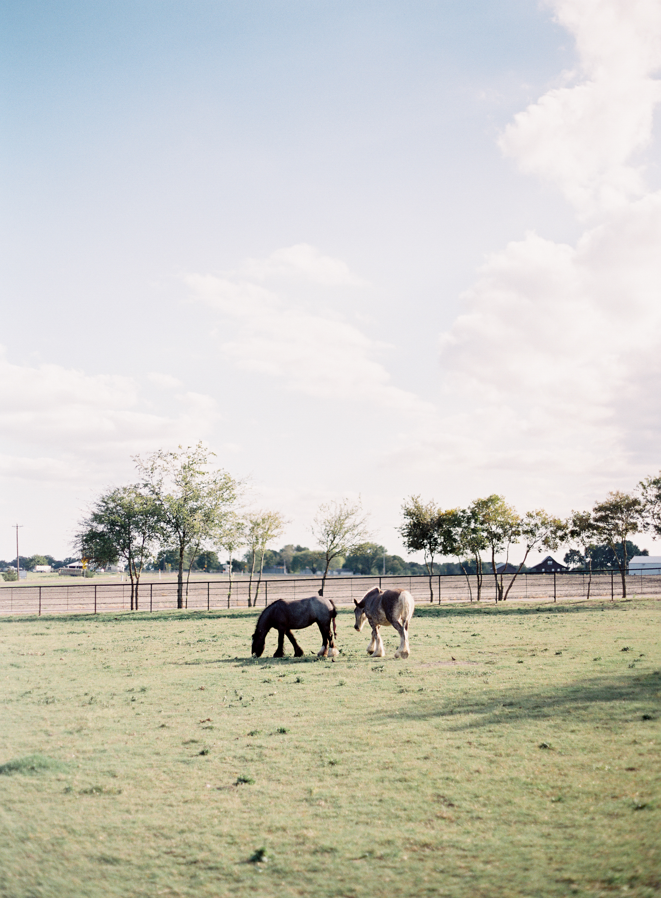 Stunning backyard wedding at a horse ranch, by Dallas destination wedding photographer Tracy Enoch