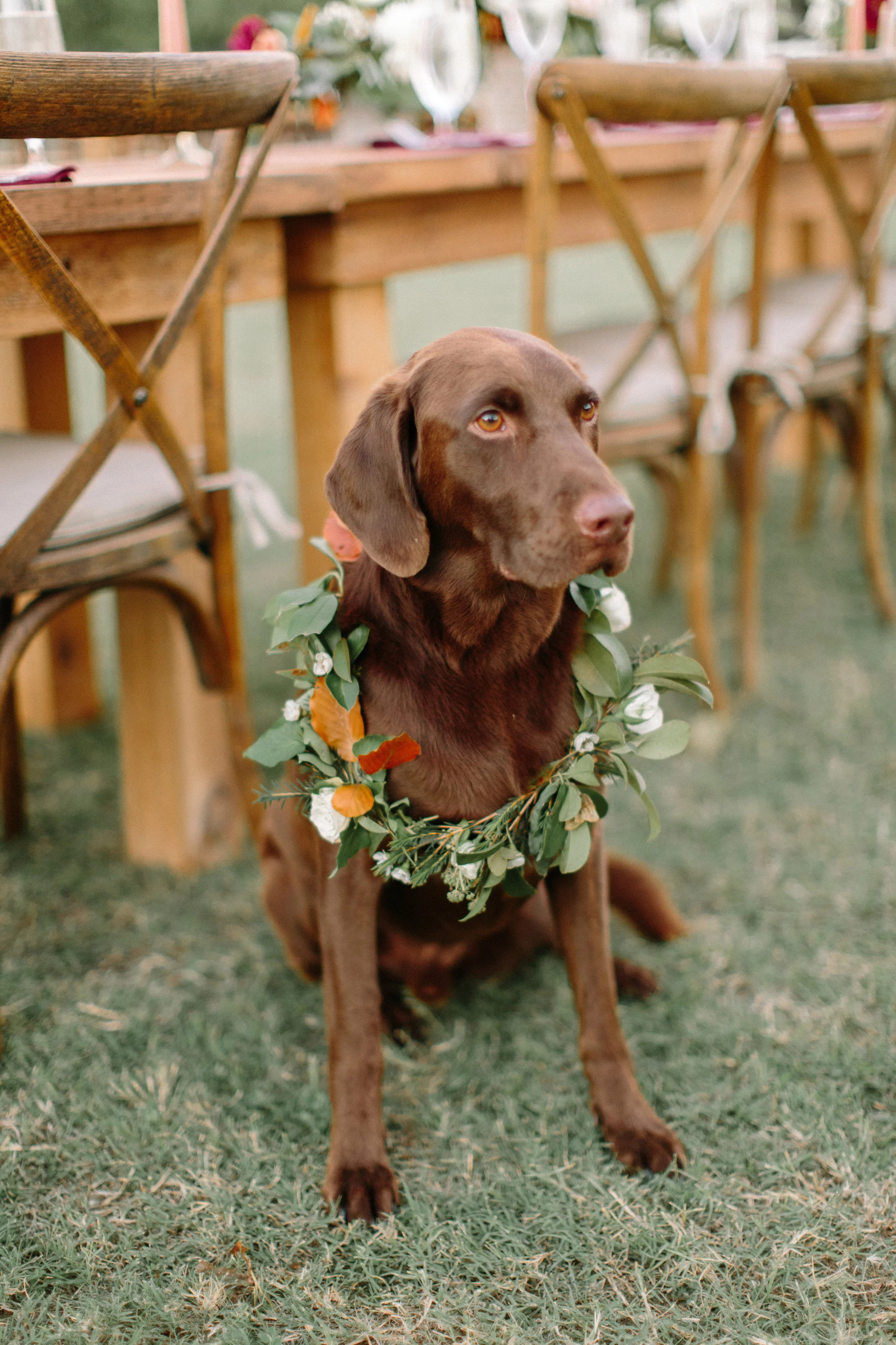 Stunning backyard wedding at a horse ranch, by Dallas destination wedding photographer Tracy Enoch