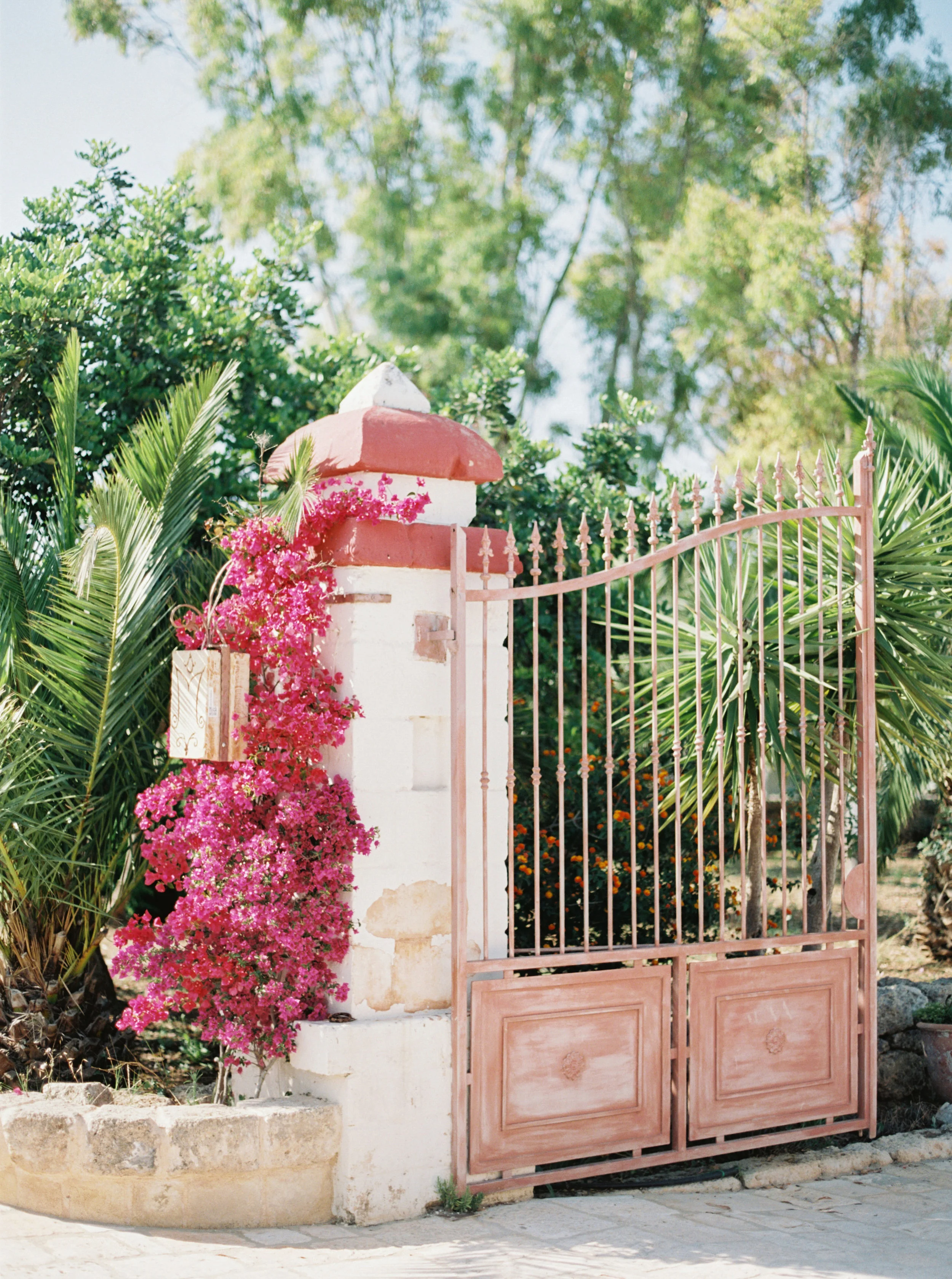 Southern Italy destination wedding at Masseria Montenapoleone, by Dallas destination wedding photographer Tracy Enoch