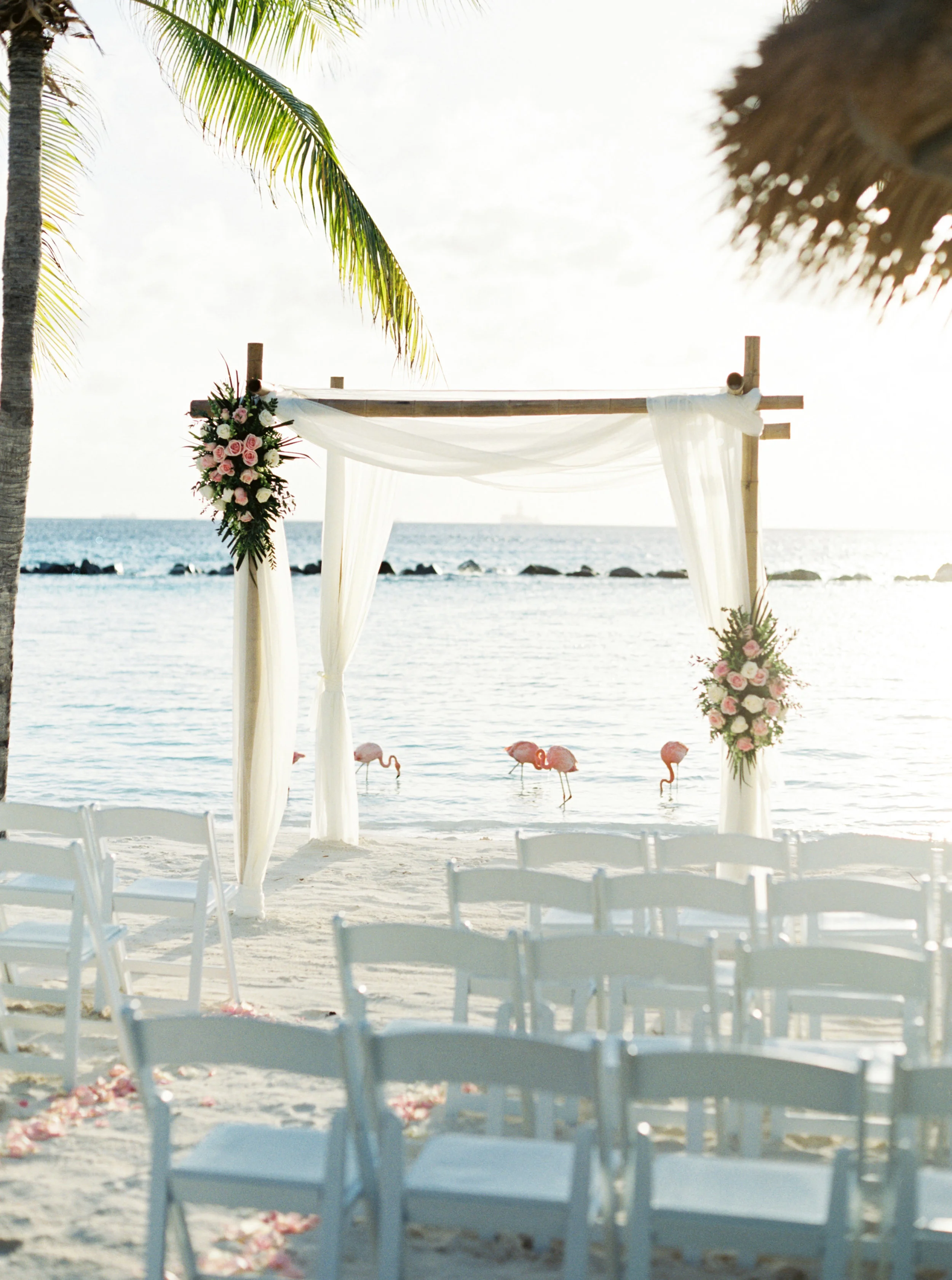 Caribbean destination wedding in Aruba, by Dallas destination wedding photographer Tracy Enoch