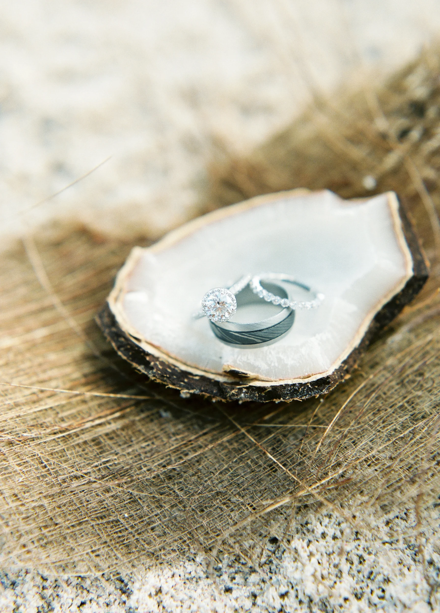 Caribbean destination wedding in Aruba, by Dallas destination wedding photographer Tracy Enoch