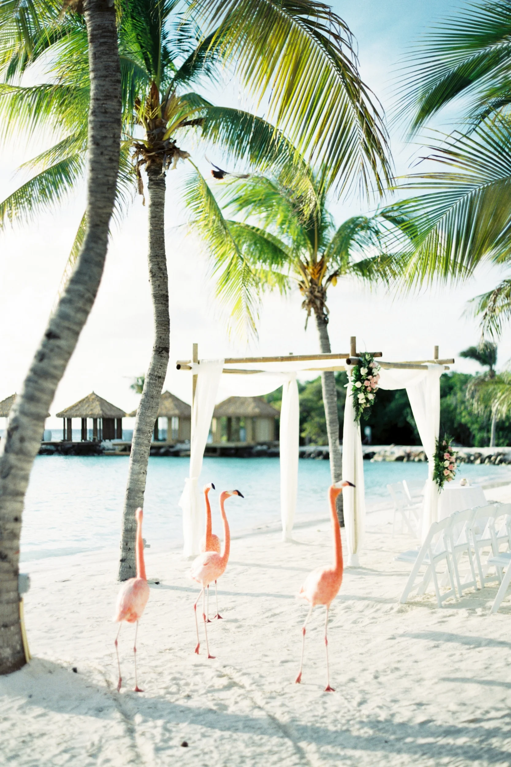 Caribbean destination wedding in Aruba, by Dallas destination wedding photographer Tracy Enoch