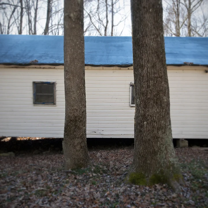 Two Trees and Cabin