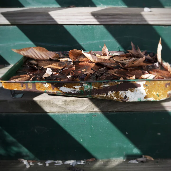 Paint Tray