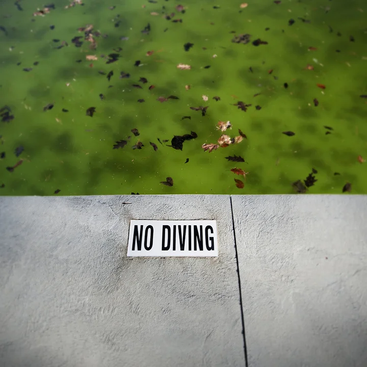 No Diving