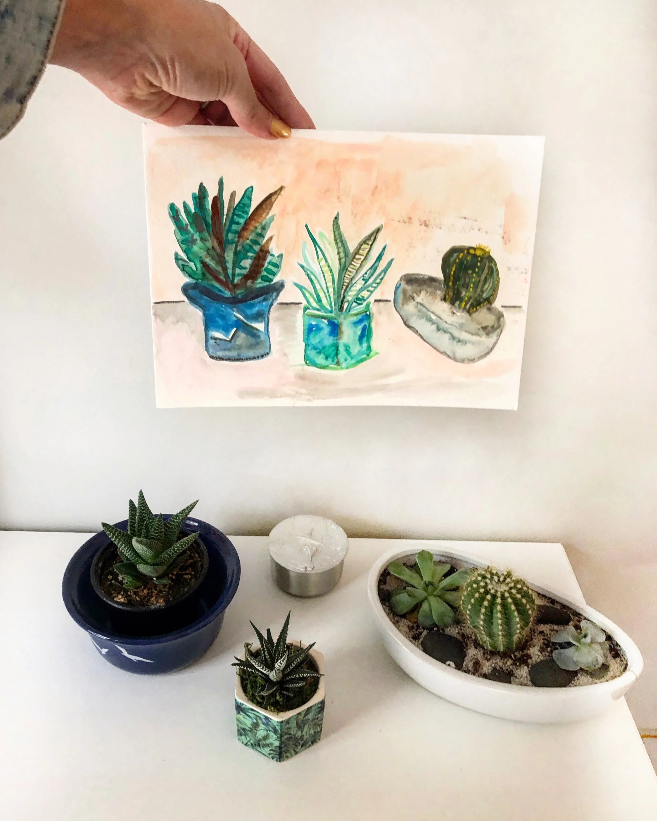 She also has the most awesome cactuses!!