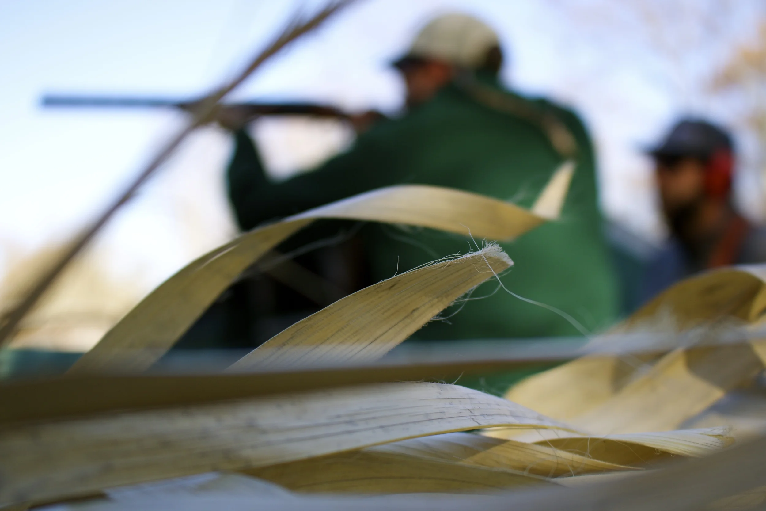imitation duck blind practice