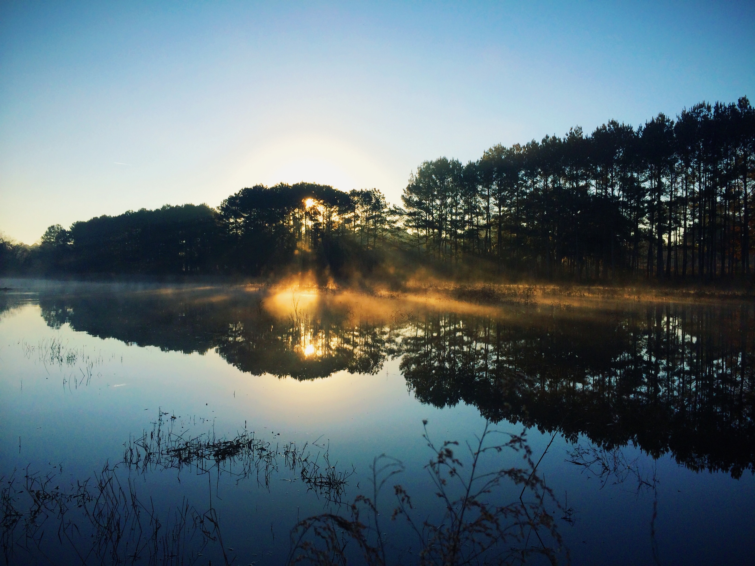 A beautiful sunrise at the duck pond.