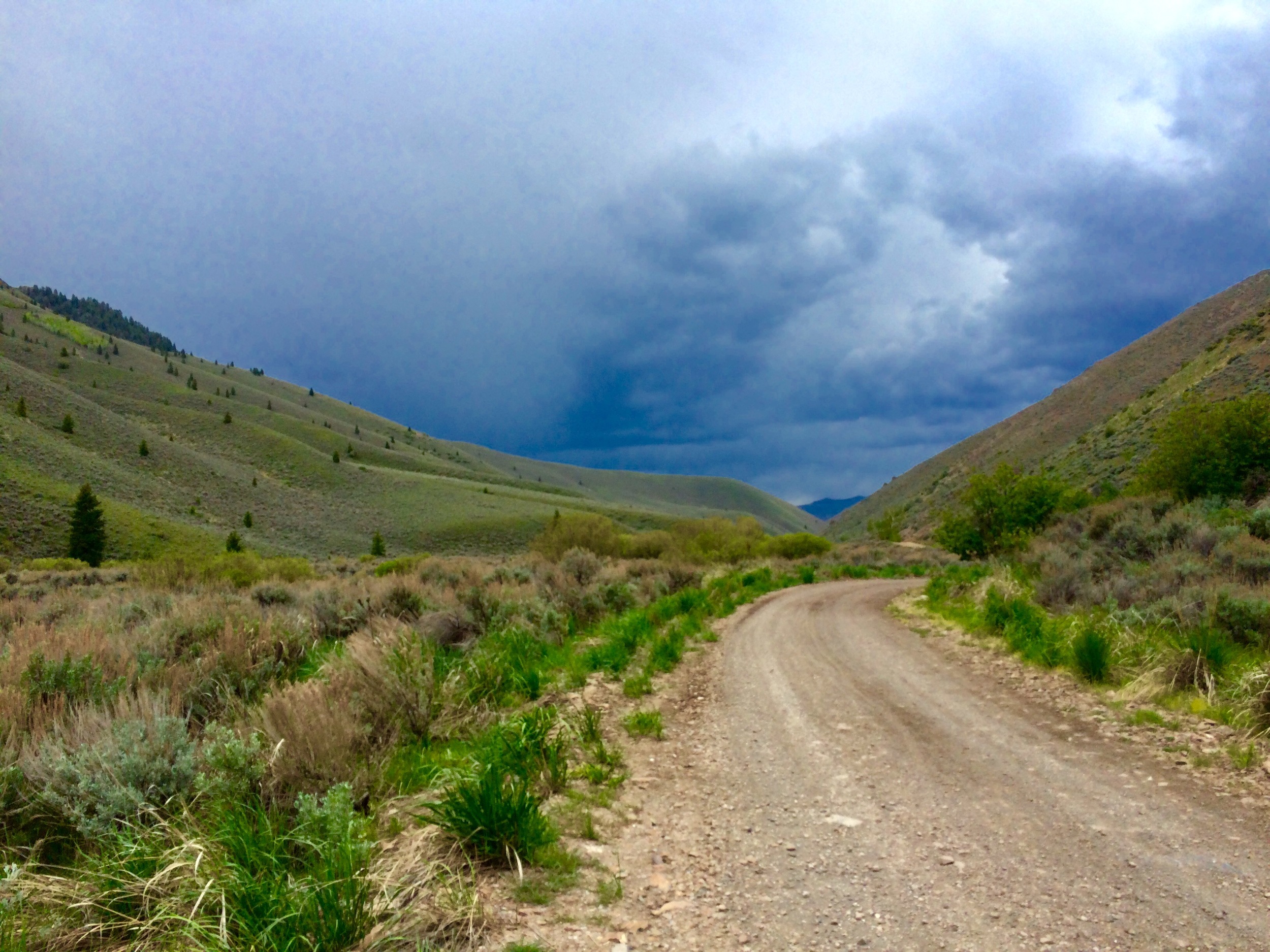 A beautiful hike with the dogs in Sun Valley a few hours before the first storm hit. 