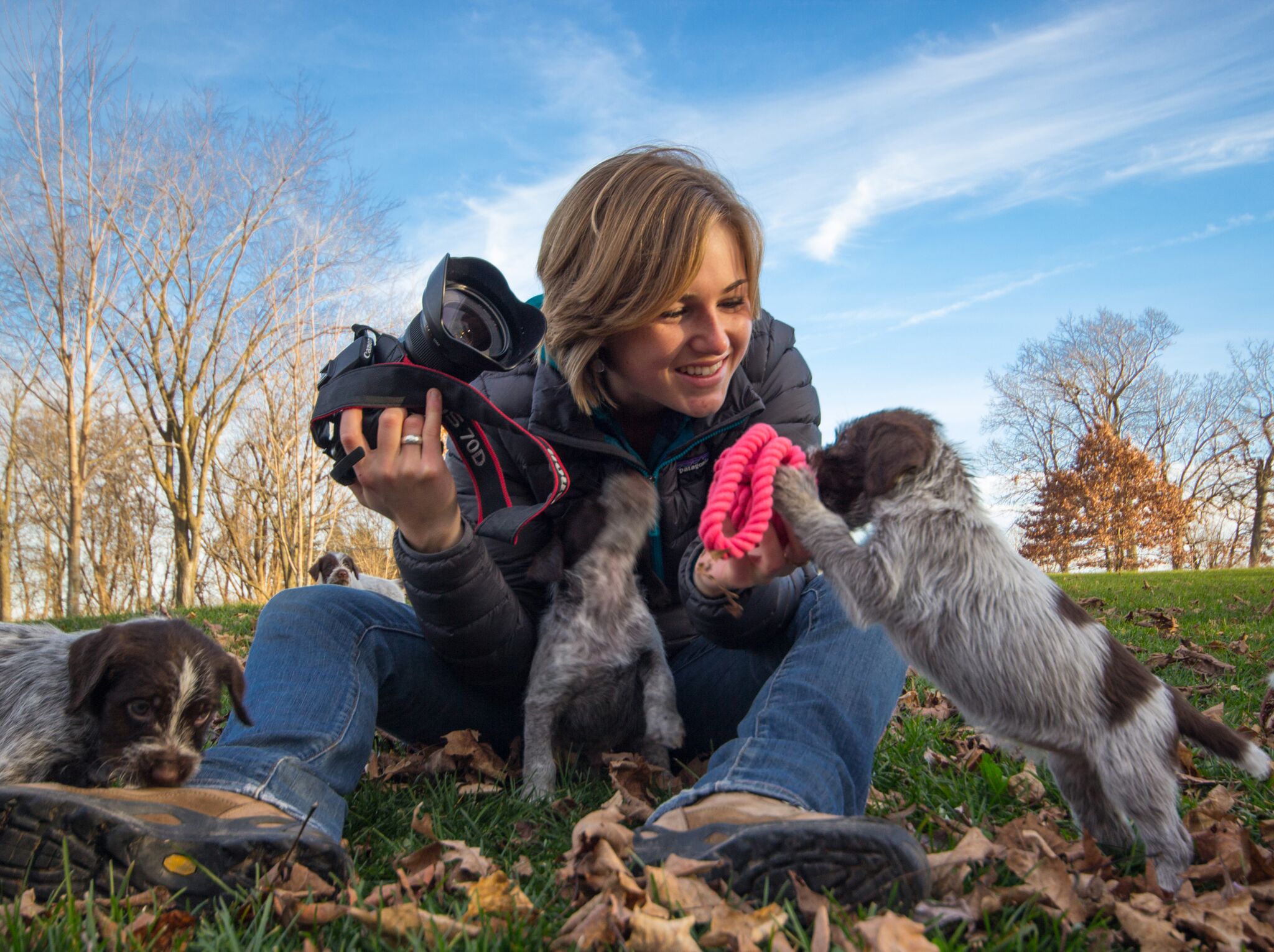 All puppy photos courtesy of Ray Wolfram