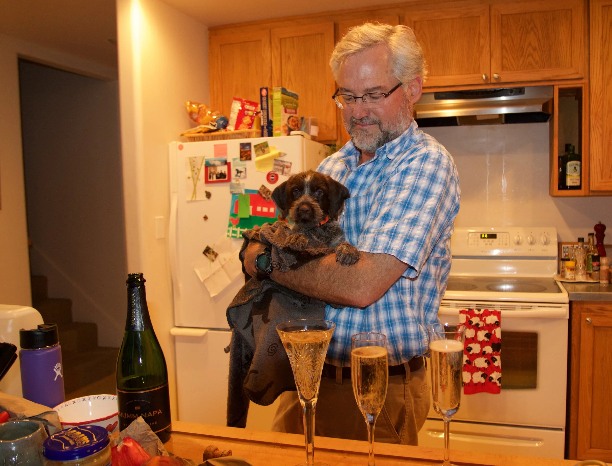 My dad very sweetly brought home a bottle of champagne to celebrate Sally's arrival!