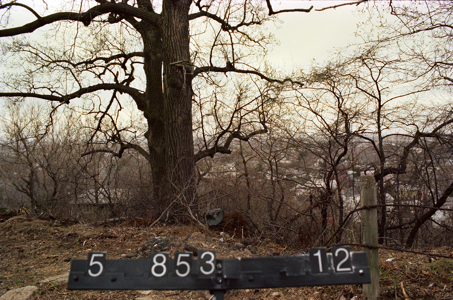 Overlook Ave. near Vista Ave., Staten Island, circa 1985. Dept. of Finance, NYC Municipal Archives.