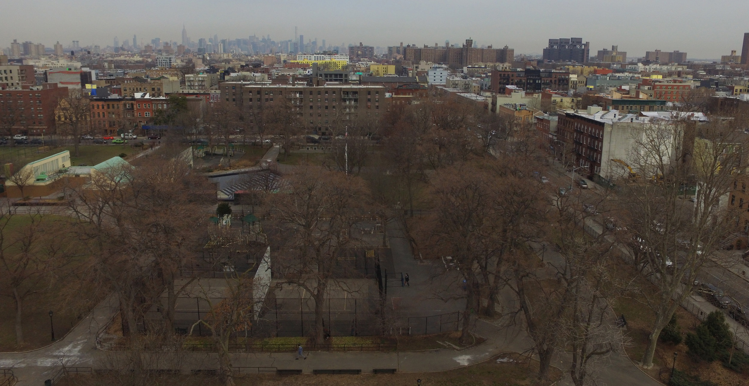 Southeast corner of Von King Park, facing north. Tompkins Ave. is on the lower right. Photo: Darryl Montgomery, 2017.