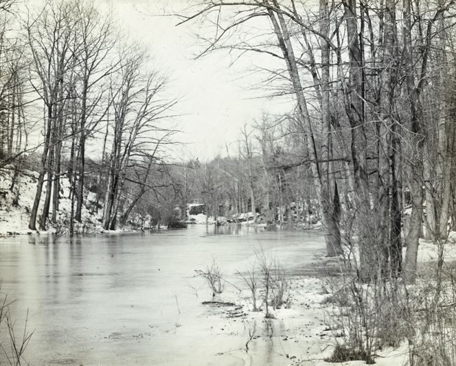 The Bronx River in the New York Botanical Garden, circa 1891-1899. NYC Municipal Archives Collection.