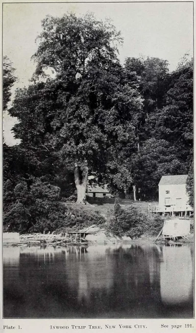 18th Annual Report of the American Scenic and Historic Preservation Society , 1913