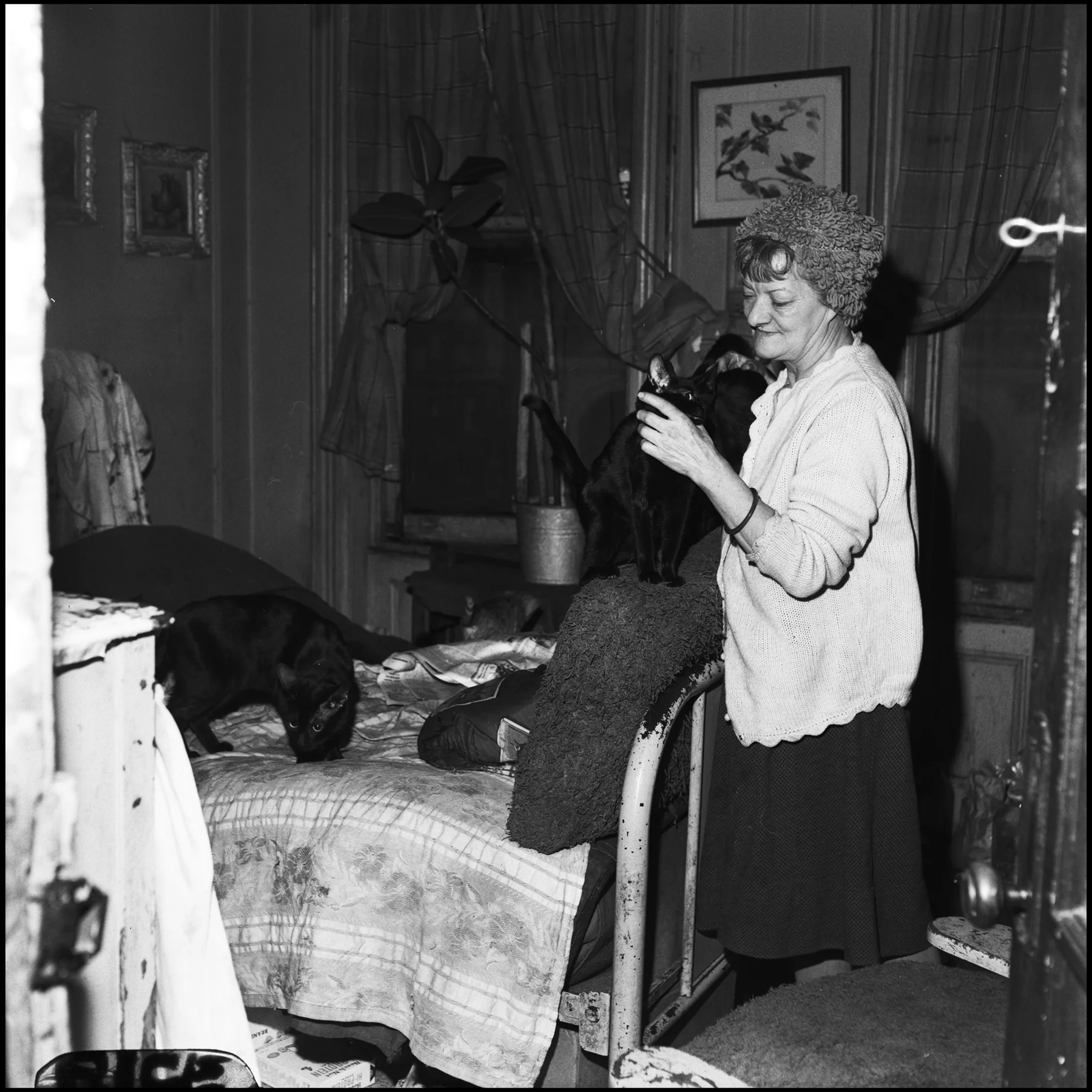Interior of a furnished room at the Hotel Centre, 249 West 80th Street, with a female tenant and at least 10 cats, December 1966. Photograph by Paul Rice.