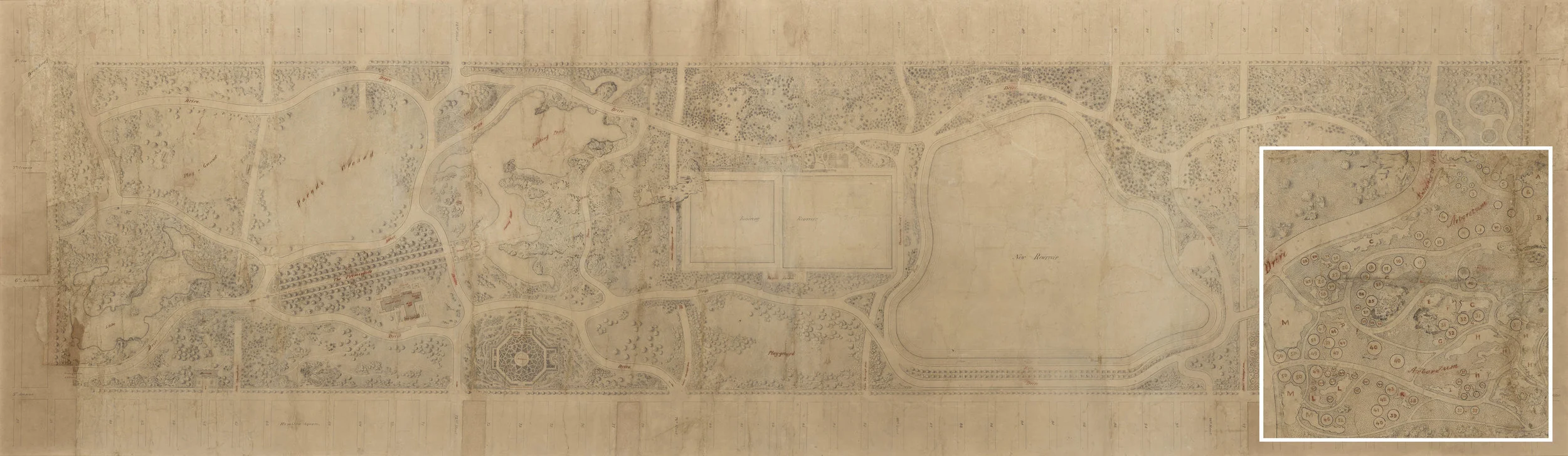 The Greensward Plan with magnified section. The northeast corner of the park was originally designed as an arboretum highlighting American trees and shrubs. Some items included in the plan, like the formal garden left of center, were requirements of the design competition, but not the style of Olmstead and Vaux. They were excluded from the final plans.