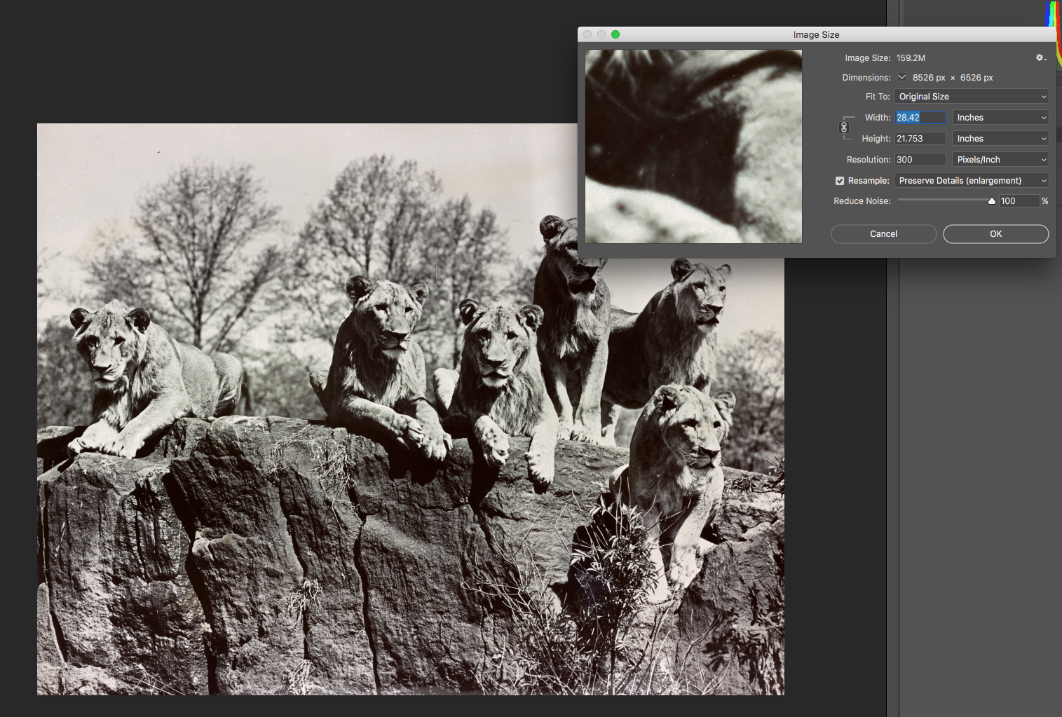 Making a web-ready jpeg in Photoshop
